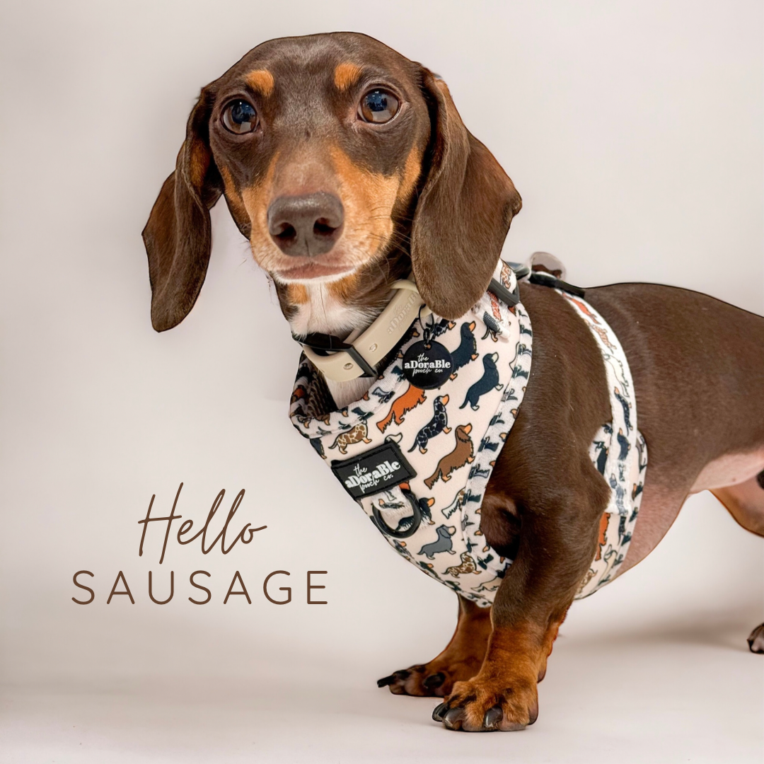 Hello Sausage