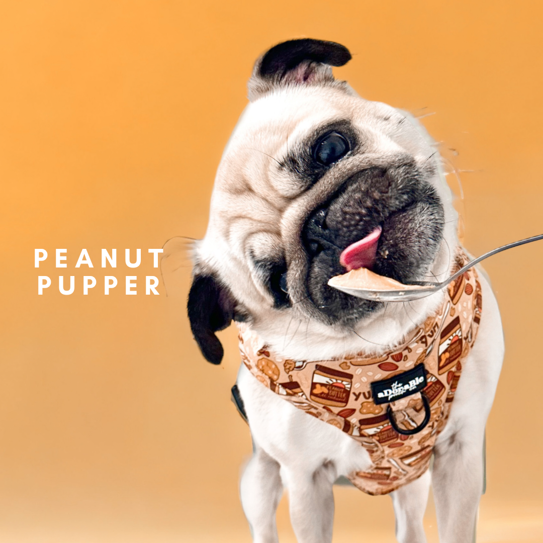 Peanut Pupper
