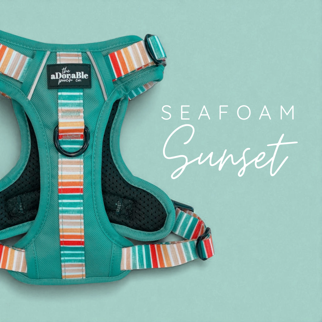Seafoam Sunset