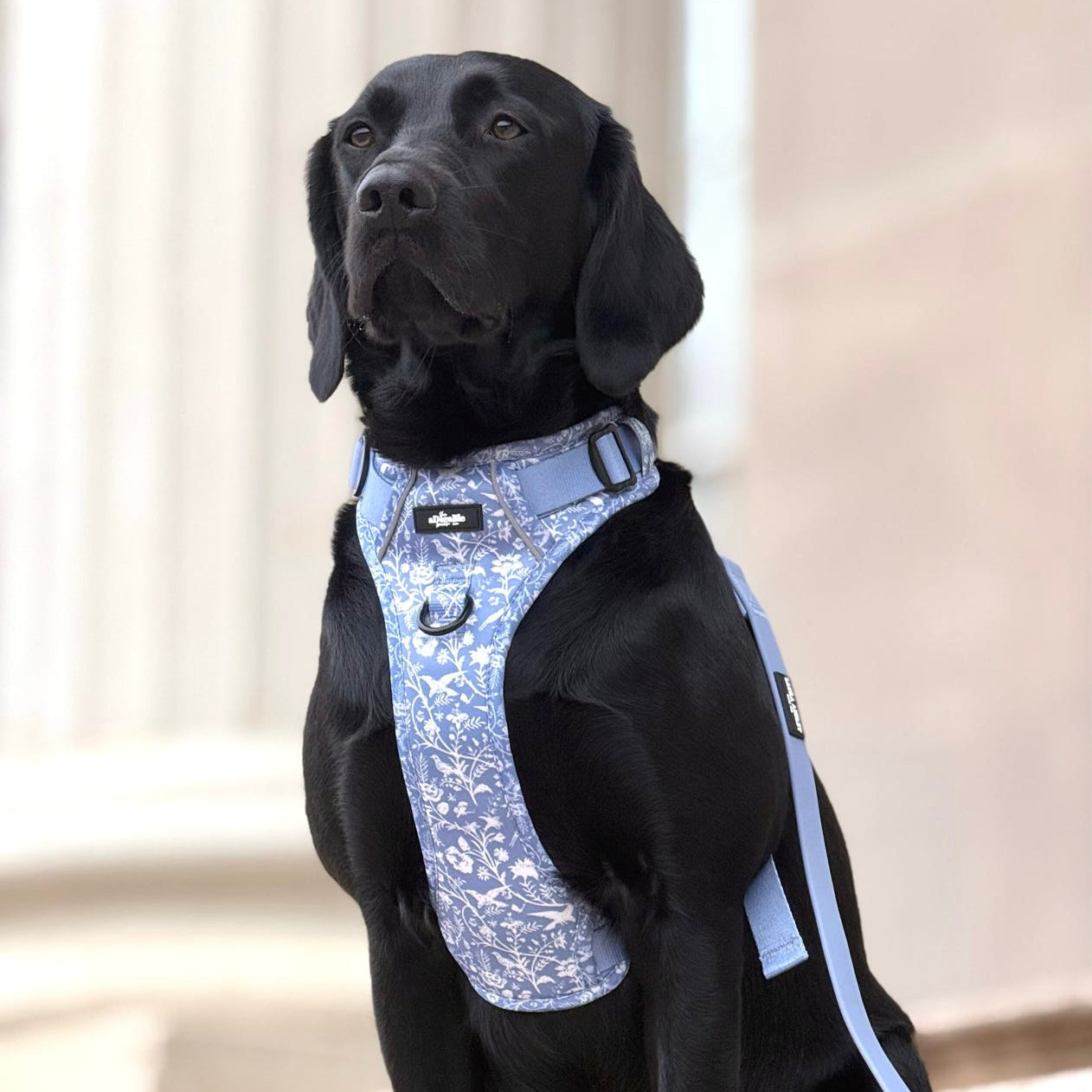 Laura Ashley - Shepherd's Purse