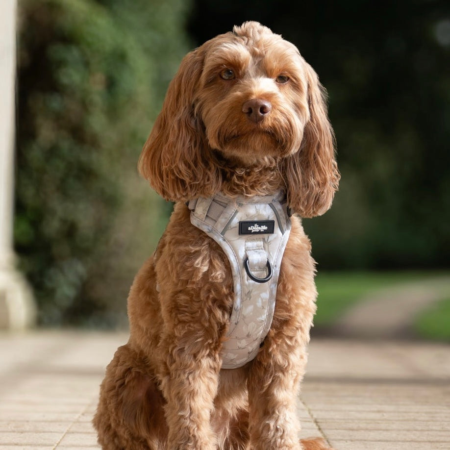 Laura Ashley - Magnolia Grove