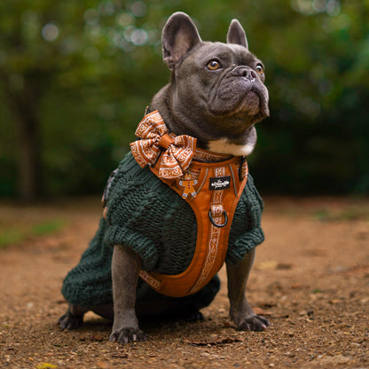 Hike & Go™ Harness - Gingerbread Frosting