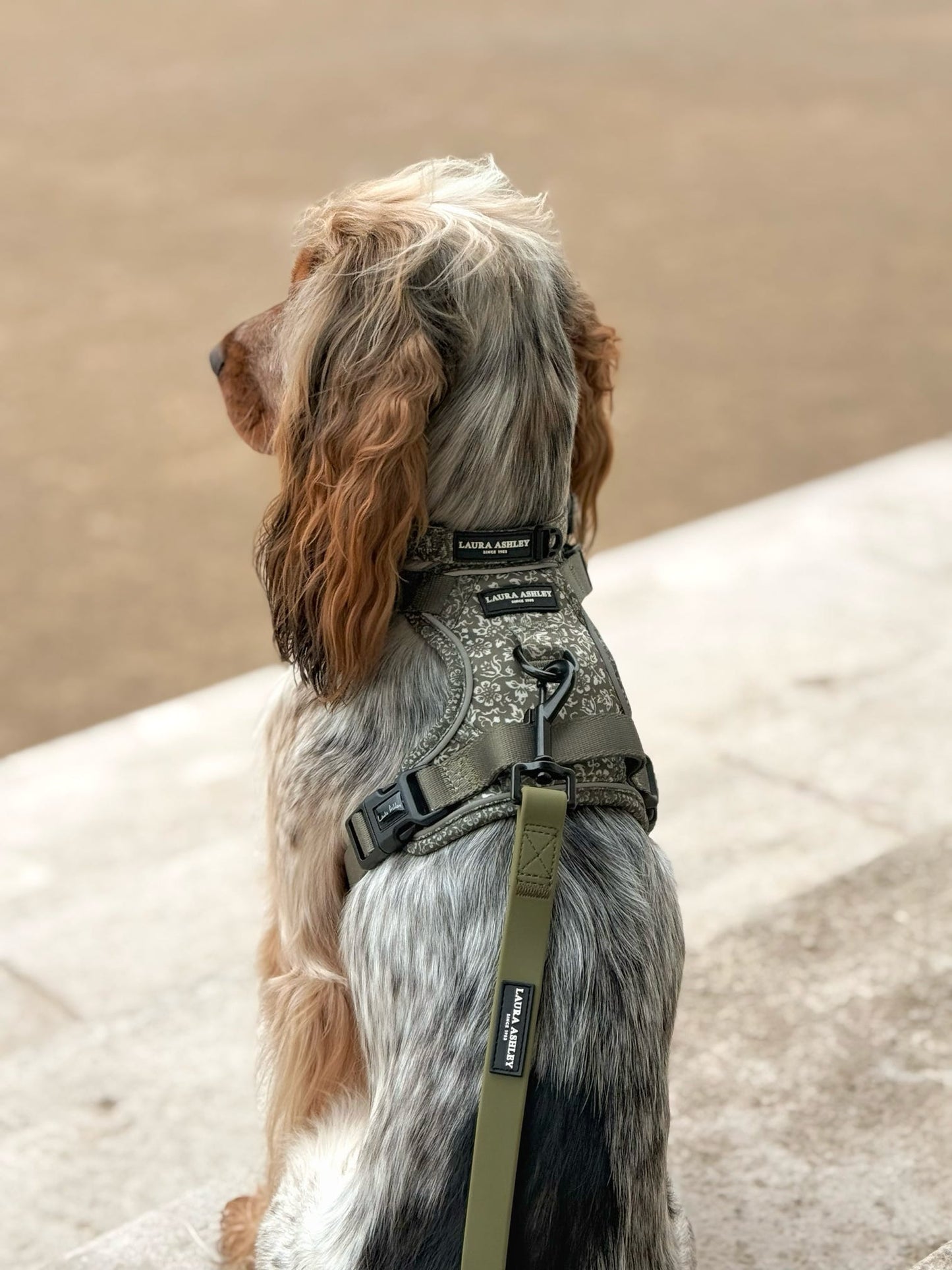 Laura Ashley Dog Harness - Sweet Alyssum
