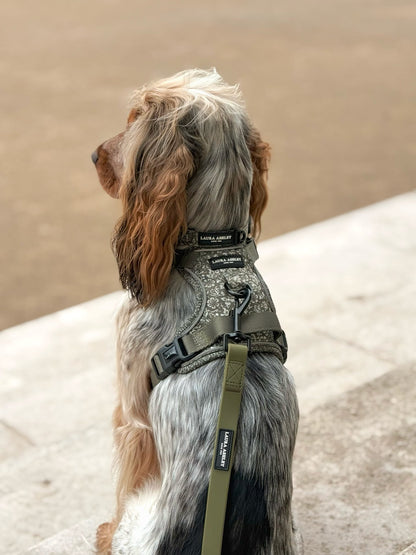 Laura Ashley Dog Harness - Sweet Alyssum