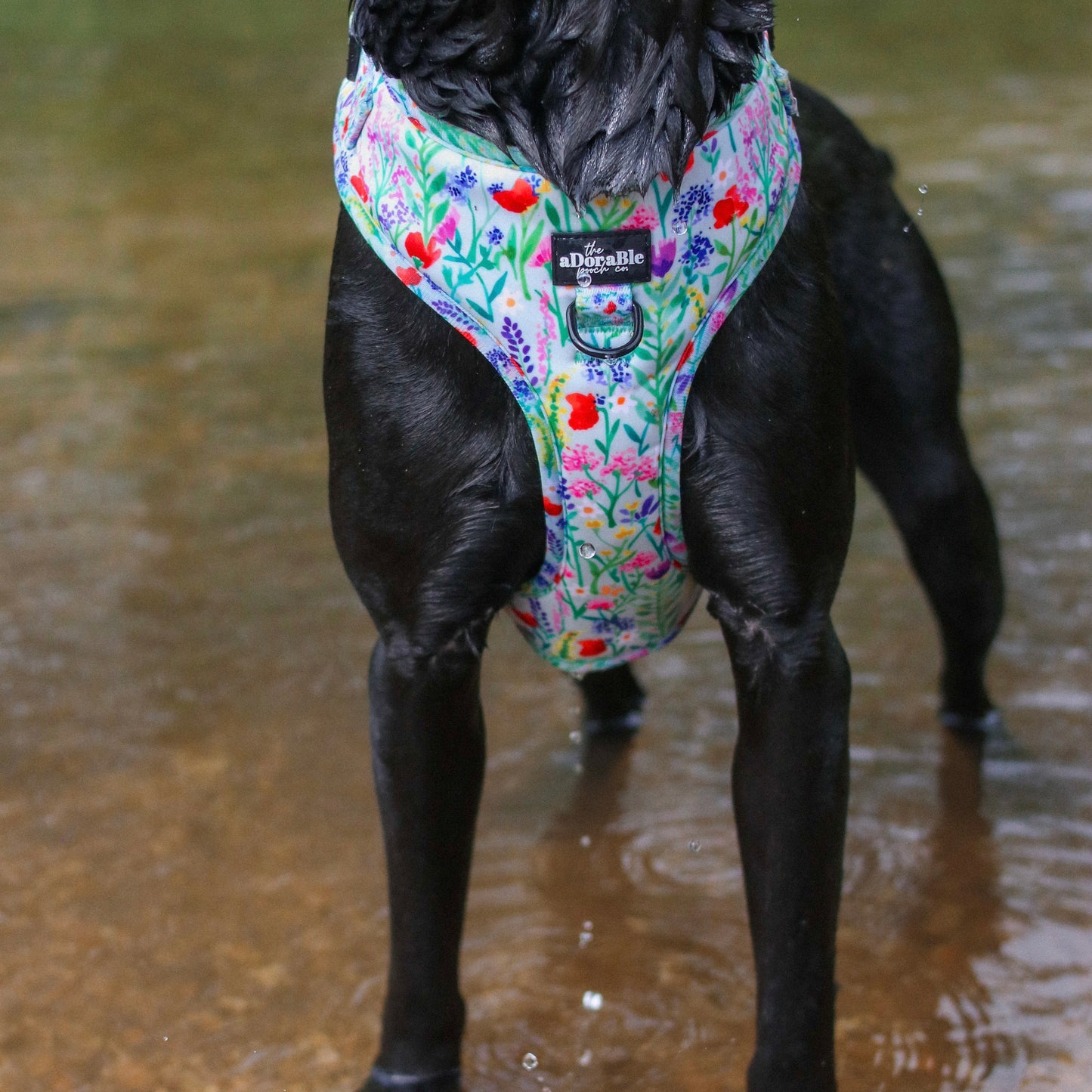 Adjustable Harness - Wildflower Meadow