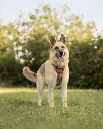 Hike & Go™ Harness - Foragers Forest