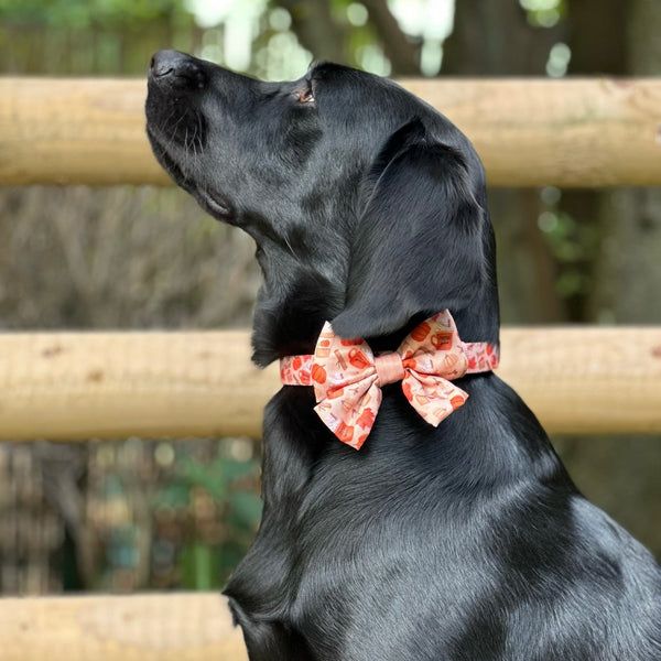 Sailor Bow Tie - Pumpkin Harvest