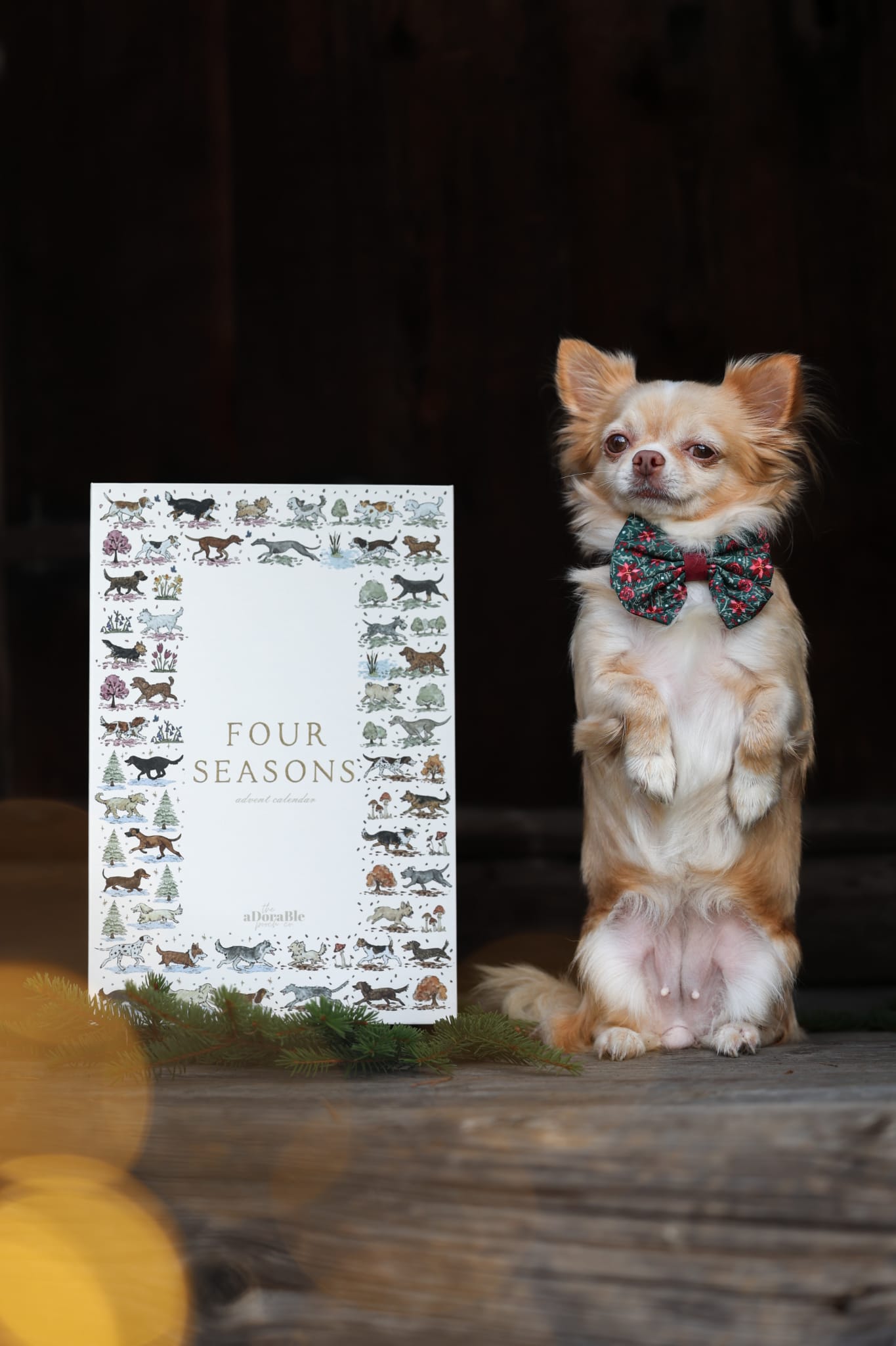 The aDoraBle Pooch Co Advent Calendar - The Four Seasons