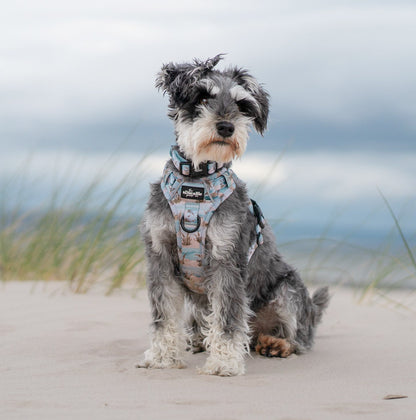 Hike & Go Lite™ Harness - Coastal Beach Grass