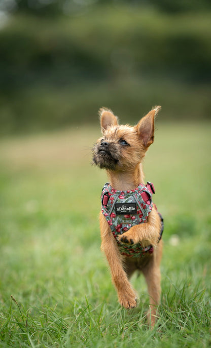 Hike & Go™ Harness - Crab Apple Cottage