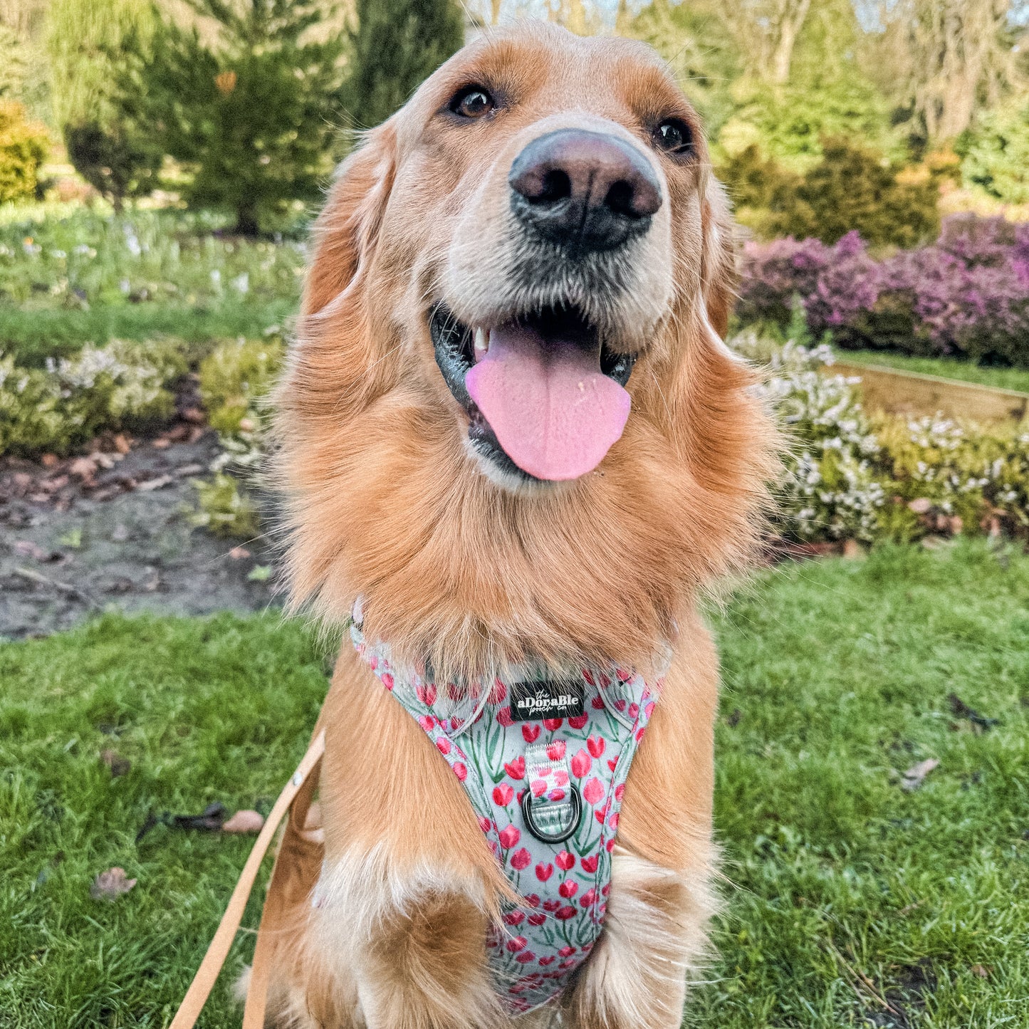 Hike & Go Lite™ Harness - Timeless Tulips