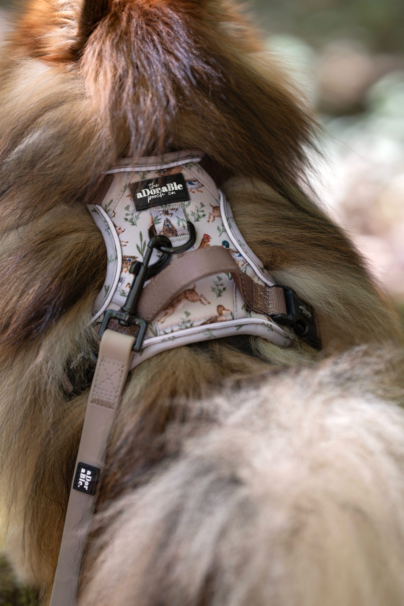 Hike & Go Lite™ Harness - Cotswold Cottage