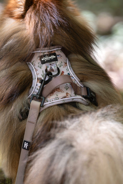 Hike & Go Lite™ Harness - Cotswold Cottage
