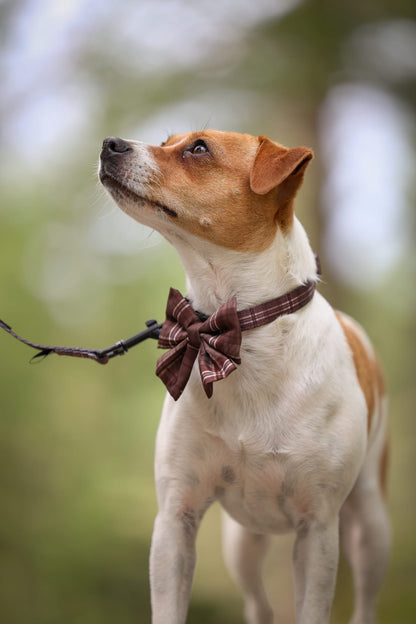 Heritage Sailor Bow Tie - Truffle Brown