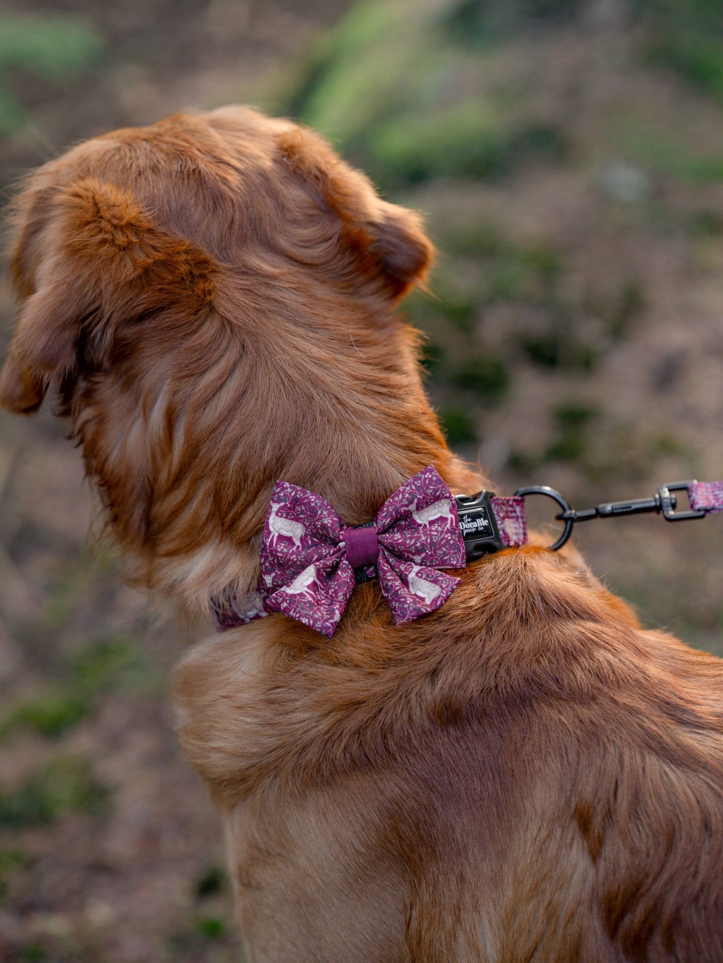Sailor Bow Tie - Winter Fawn