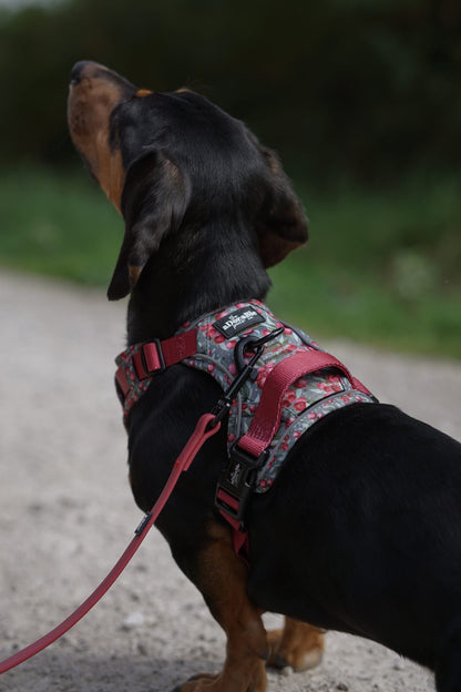 Hike & Go™ Harness - Crab Apple Cottage
