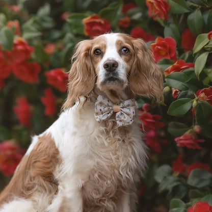 Dog Sailor Bow Tie - Spring Garden
