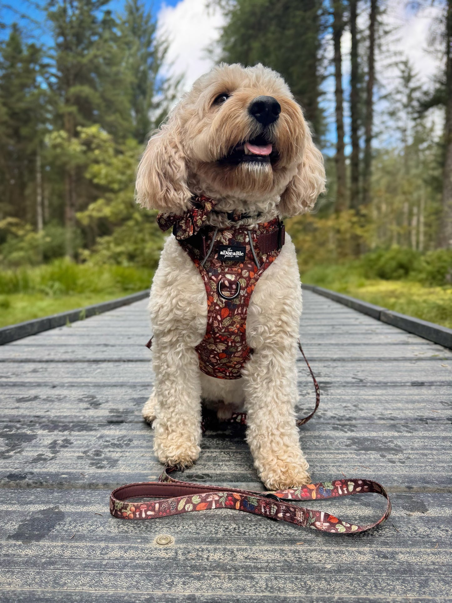 Hike & Go™ Harness - Foragers Forest