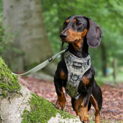 Hike & Go™ Harness - Countryside Hills