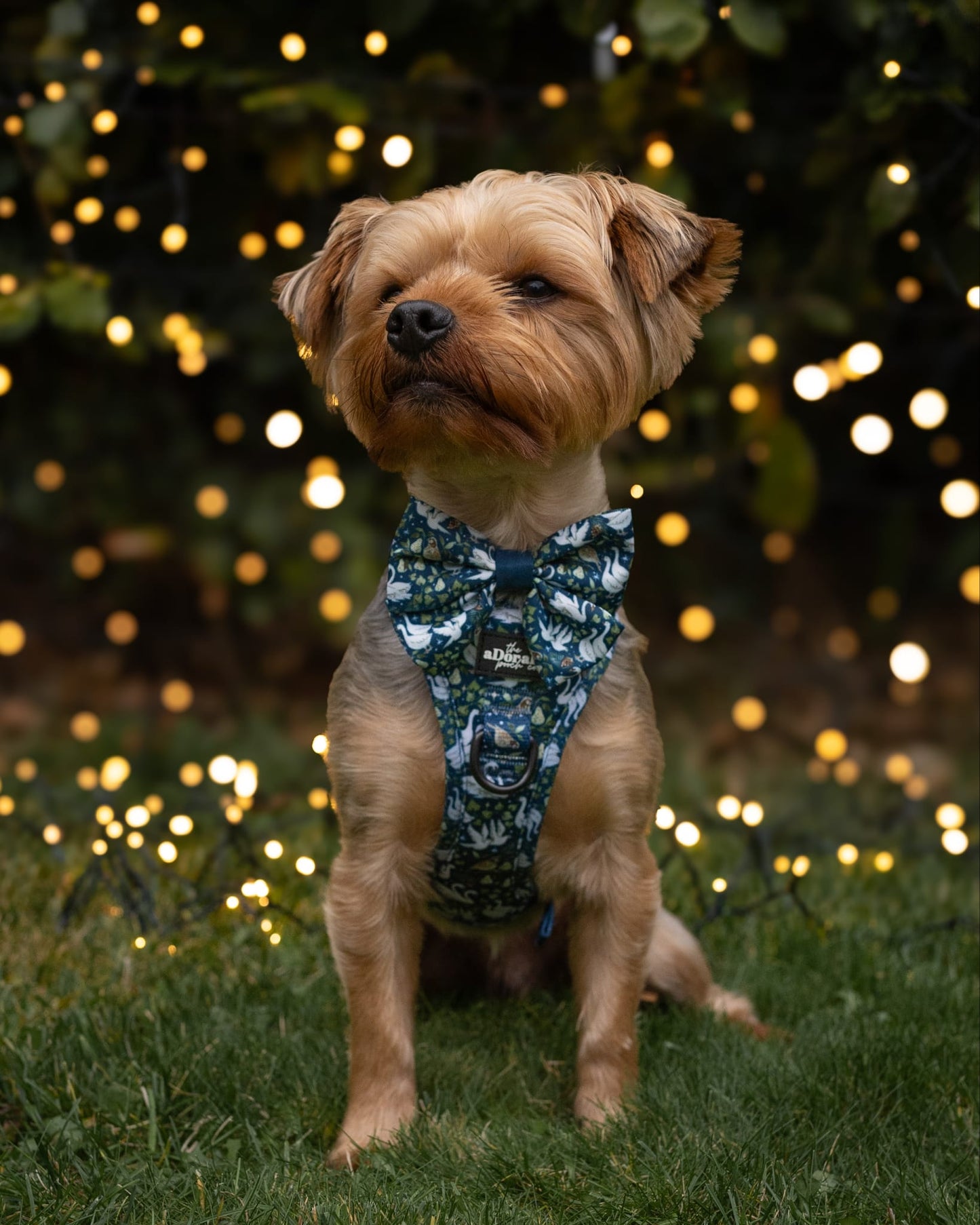 Hike & Go Lite™ Harness - Twelve Days