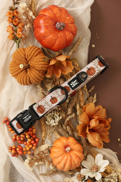 Collar - Pumpkin Farm