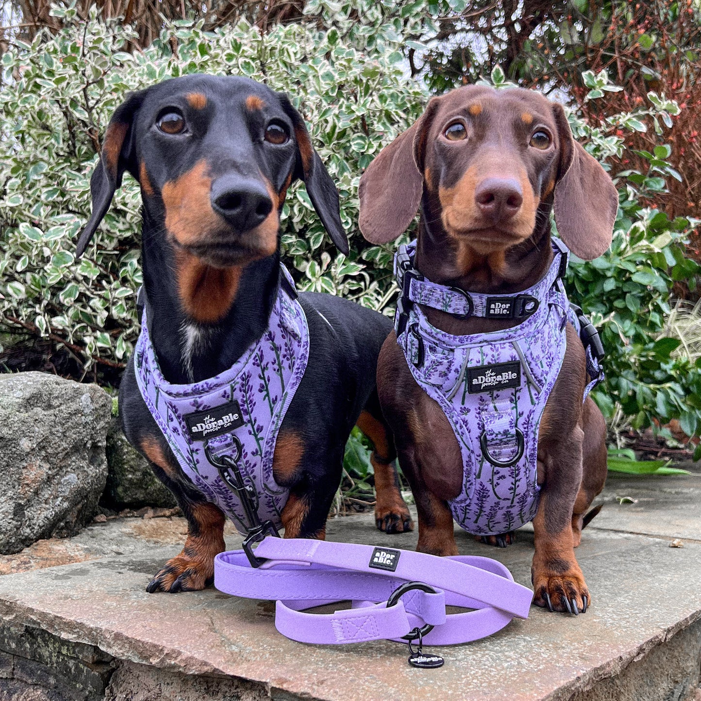 HydroFlex™ Two-tone Waterproof Dog Lead - Lavender