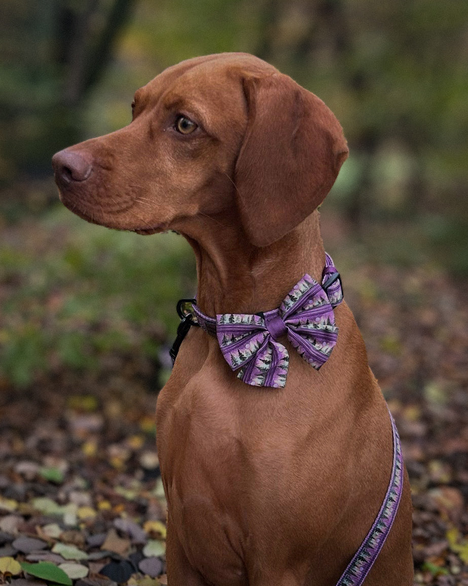 Sailor Bow Tie - Moonlit Pines