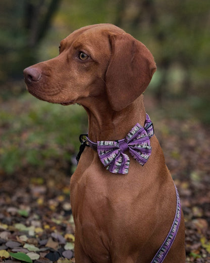 Sailor Bow Tie - Moonlit Pines