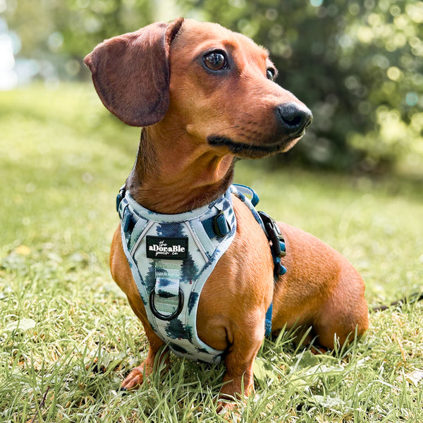 Hike & Go™ Harness - Fresh Pines