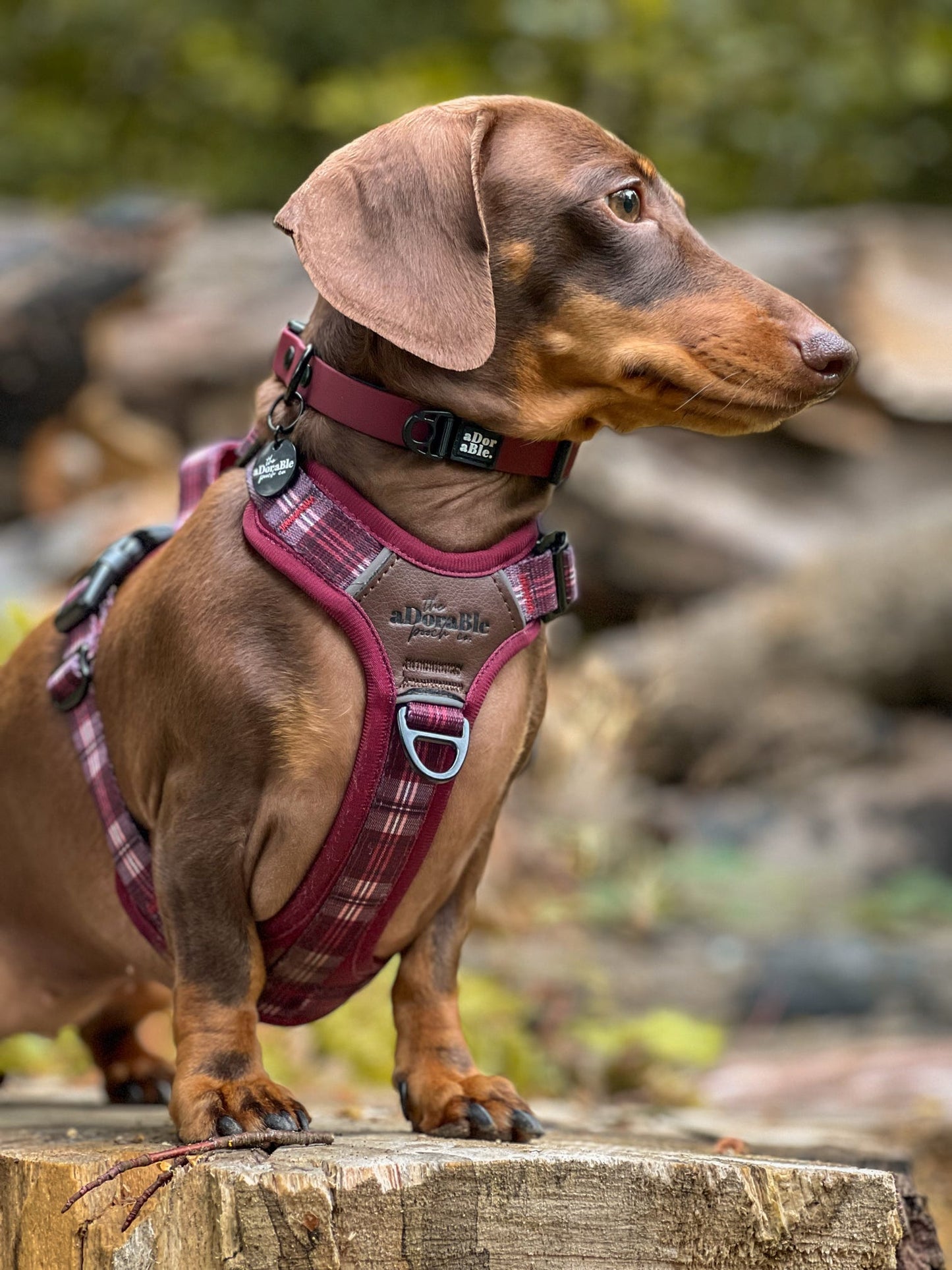 HydroFlex Lite™ Dog Collar - Merlot