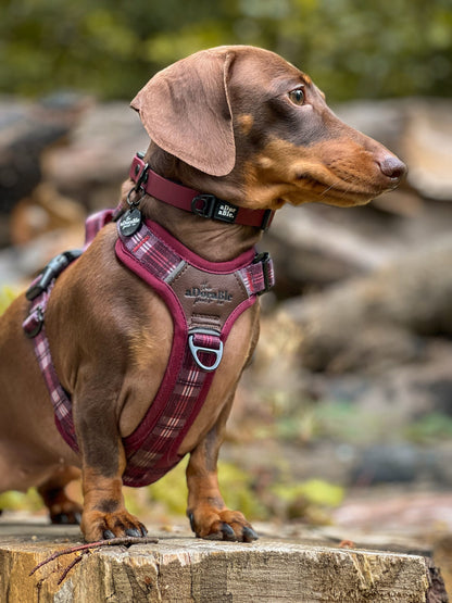 HydroFlex Lite™ Dog Collar - Merlot