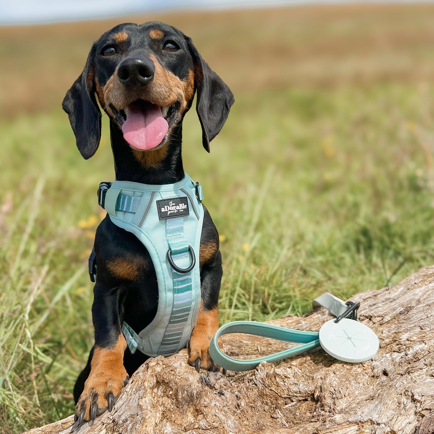 Hike & Go™ Harness - Hint Of Mint