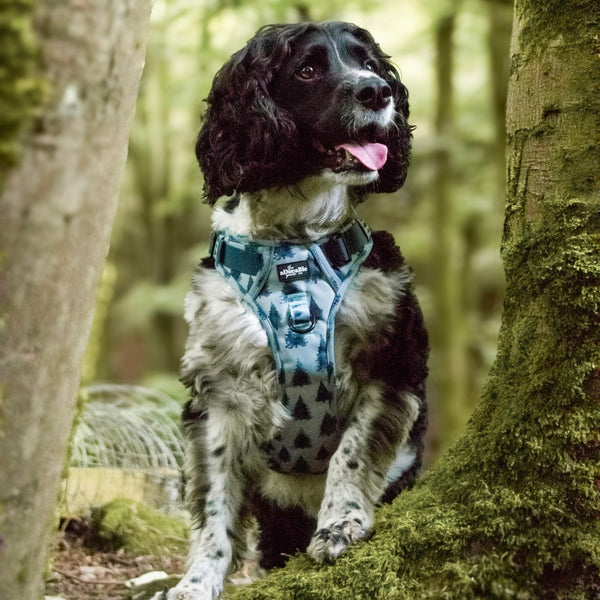 Hike & Go™ Harness - Fresh Pines