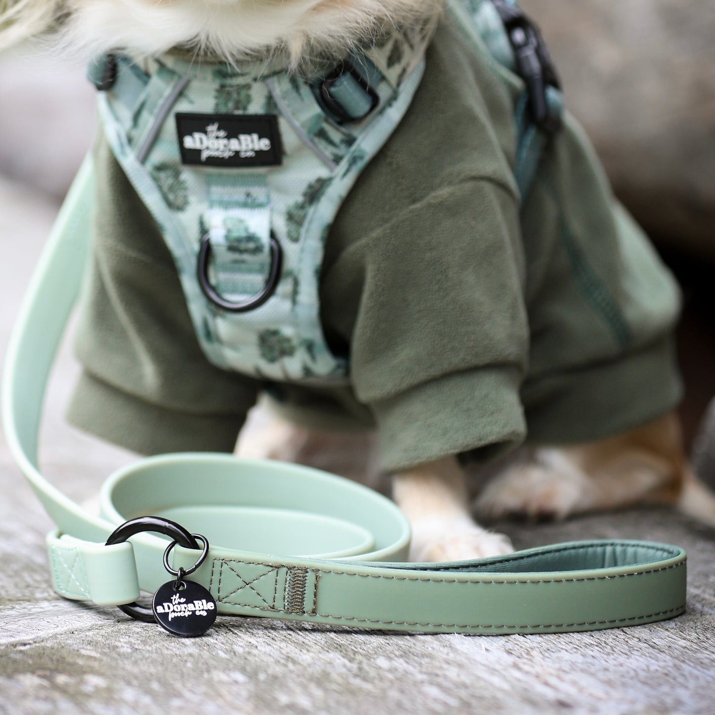 HydroFlex™ Two-tone Waterproof Dog Lead - Sage Green