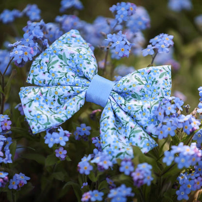 Dog Sailor Bow Tie - Flourishing Forget-Me-Nots