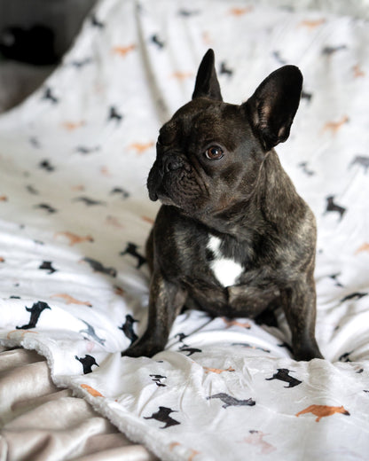 Supersize Soft Blanket - Watercolour French Bulldogs