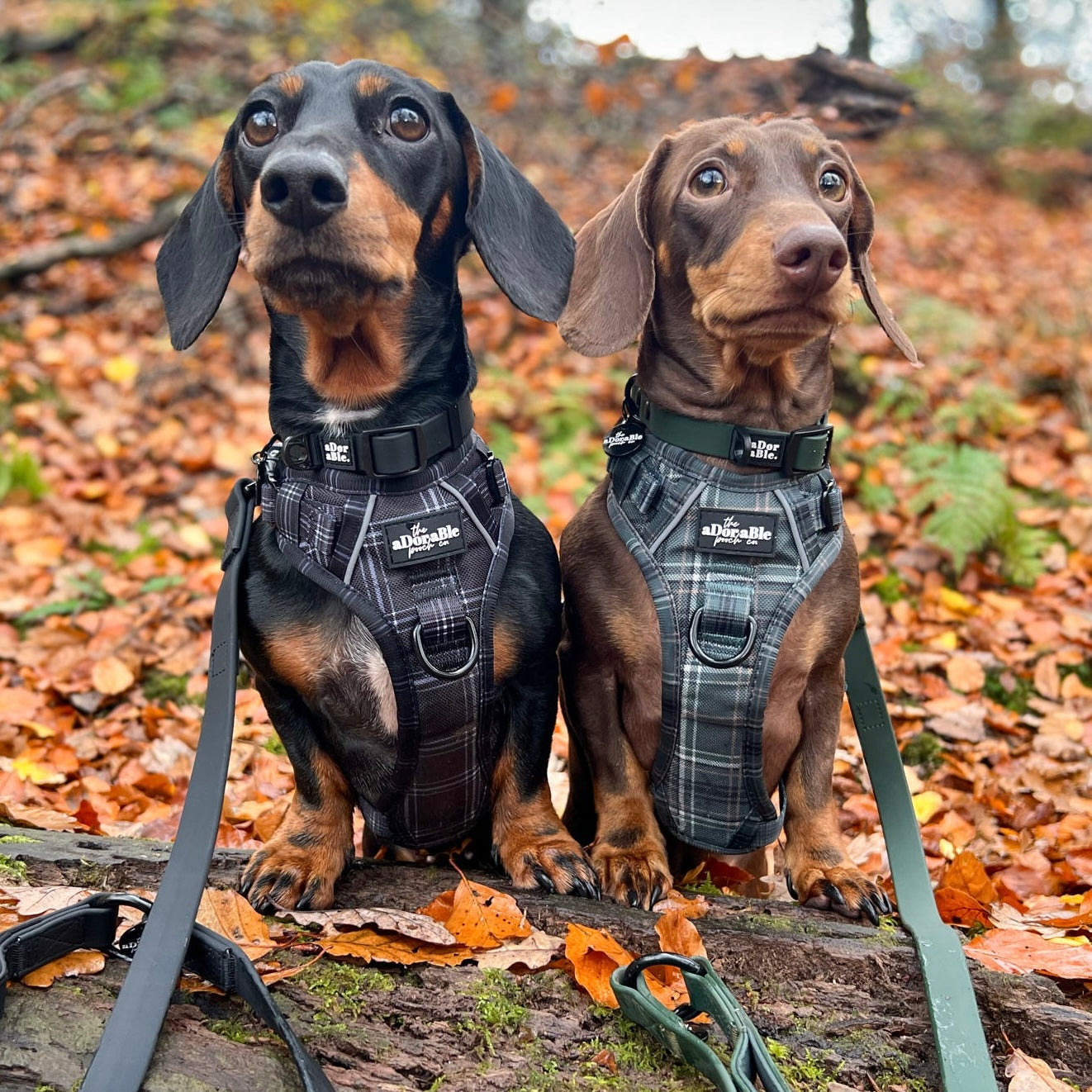 Hike & Go™ Harness - LUXE Hunter Green Plaid