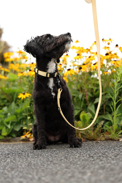 HydroFlex Lite™ Dog Collar - Lemon Sherbet