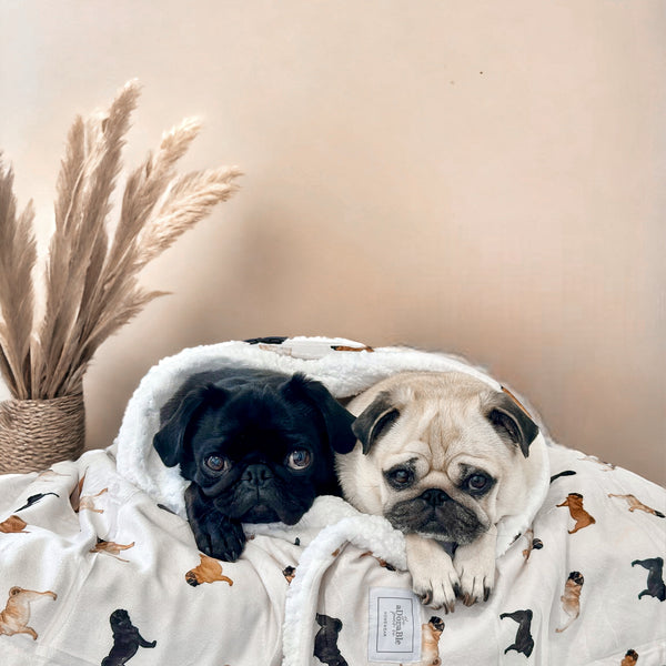 Supersize Soft Blanket - Watercolour Pugs