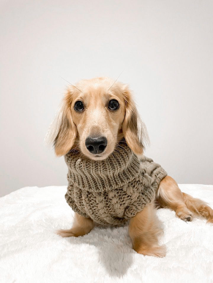 Hand Knitted Dachshund Jumper - Mocha