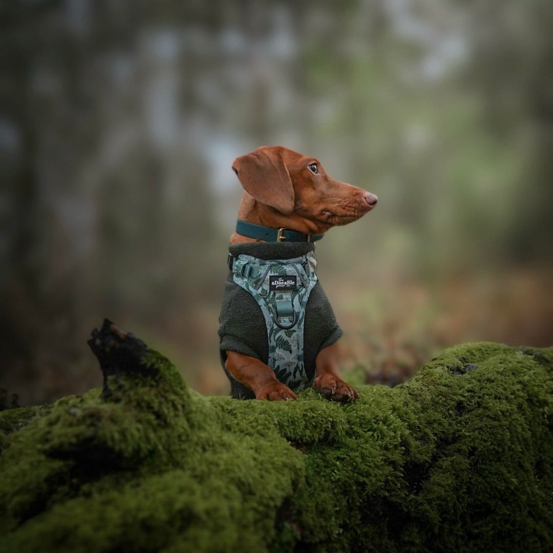 Hike & Go Lite™ Harness - Forest Of Ferns