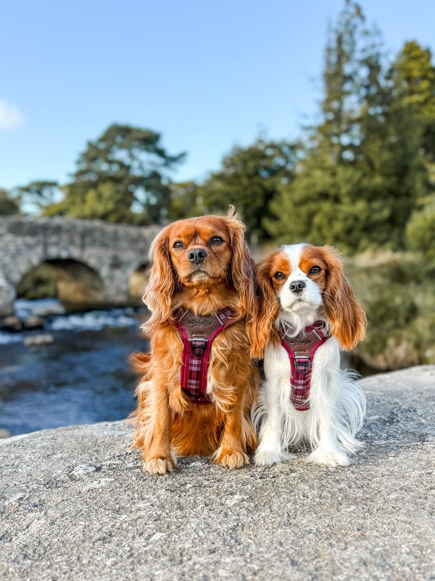 Streamline Pro™ Dog Harness - Heritage Collection - Merlot Manor