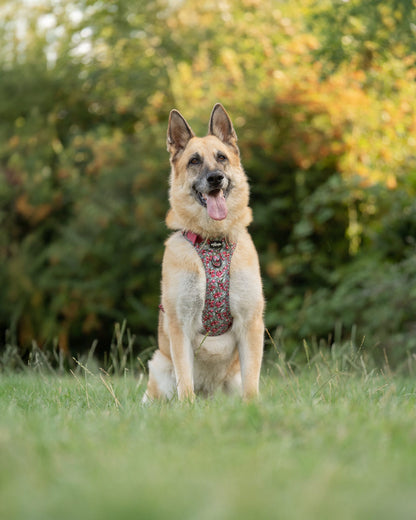 Hike & Go™ Harness - Crab Apple Cottage