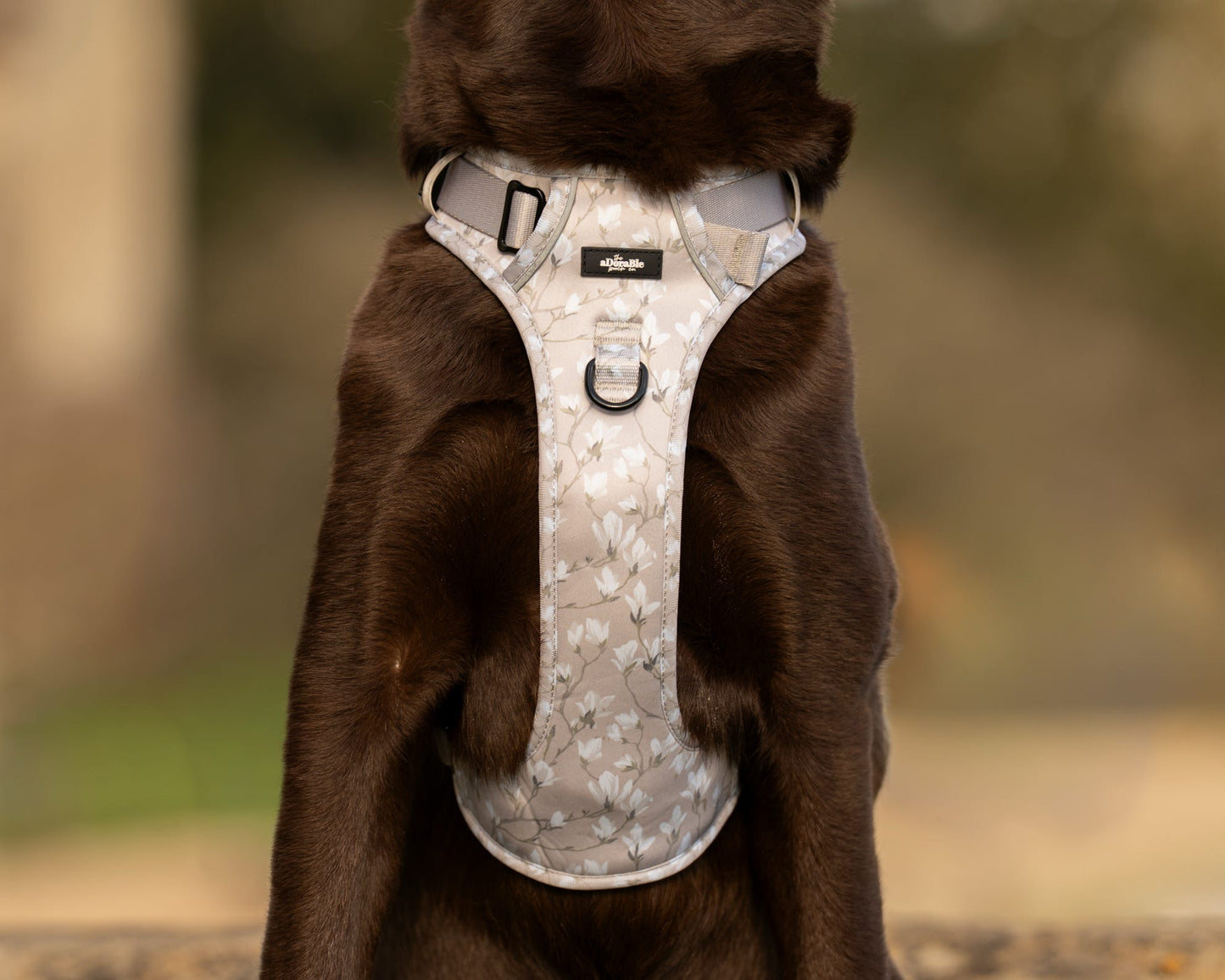 Laura Ashley Dog Harness - Magnolia Grove