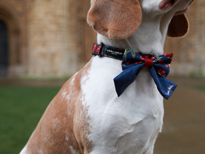 Laura Ashley Dog Collar - Gosford Meadow