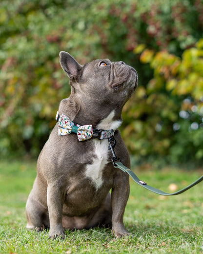 Bow Tie - Festive Lights