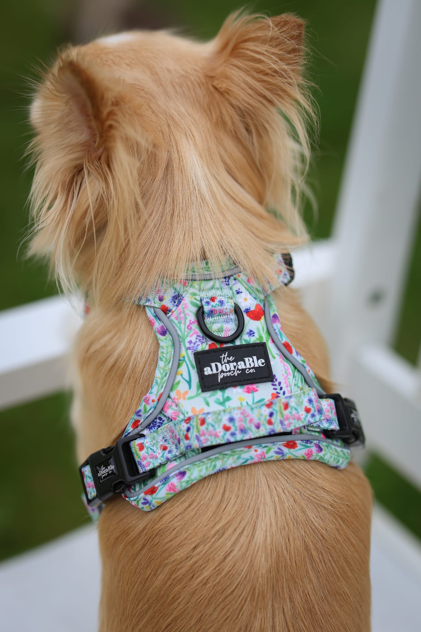 Hike & Go Lite™ Harness - Wildflower Meadow