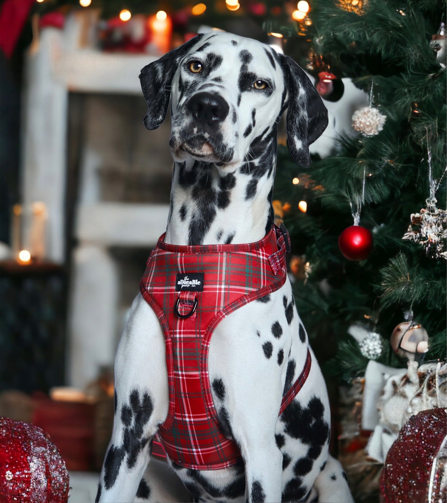 Adjustable Harness - LUXE Berry Red Plaid