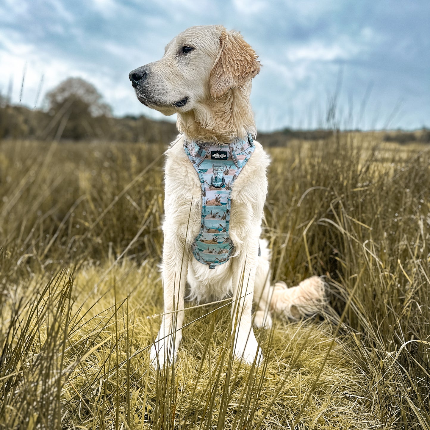 Hike & Go Lite™ Harness - Coastal Beach Grass