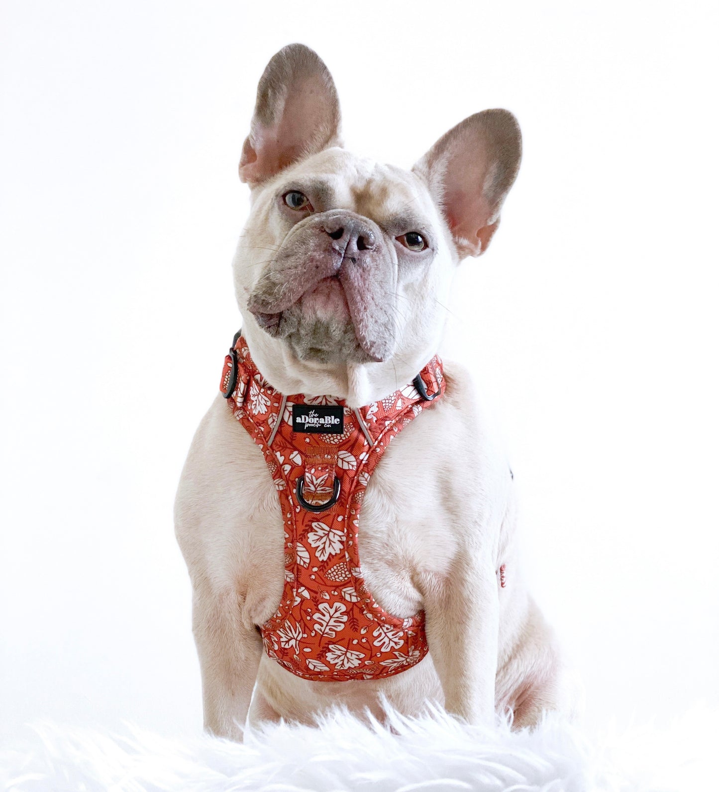 Hike & Go™ Harness - Falling For You